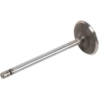Commande En Gros ACDELCO - 12575351 - Intake Valve