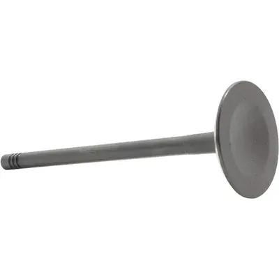 DNJ ENGINE COMPONENTS - IV802 - Intake Valve Remise