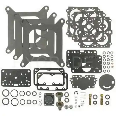 Carburetor Kit by BLUE STREAK (HYGRADE MOTOR) - 462B Retour Gratuit
