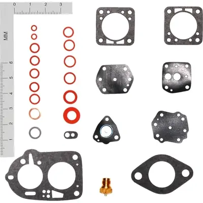 Offre Exclusive Carburetor Kit by WALKER PRODUCTS - 15245