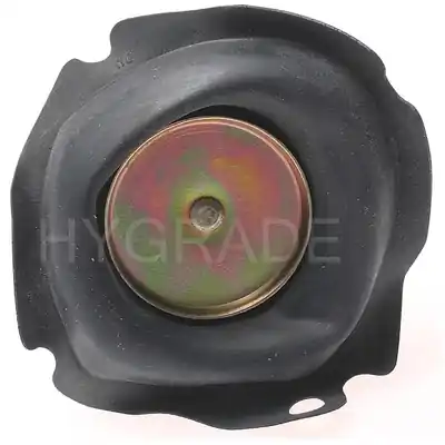 Seulement Aujourd’hui Carburetor Diaphragm by BLUE STREAK (HYGRADE MOTOR) - FM160-112