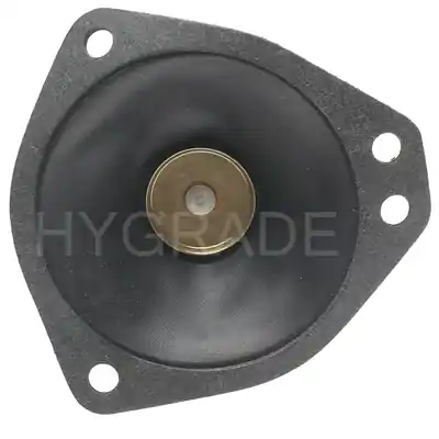 Livraison Mondiale Carburetor Diaphragm by BLUE STREAK (HYGRADE MOTOR) - J160-111