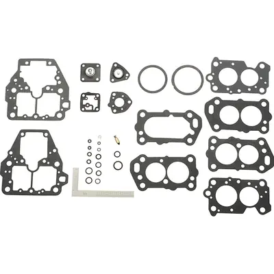 Carburetor Kit by BLUE STREAK (HYGRADE MOTOR) - 1709 Affaire À Saisir