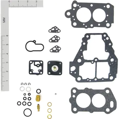Carburetor Kit by WALKER PRODUCTS - 151099 Garantie Incluse