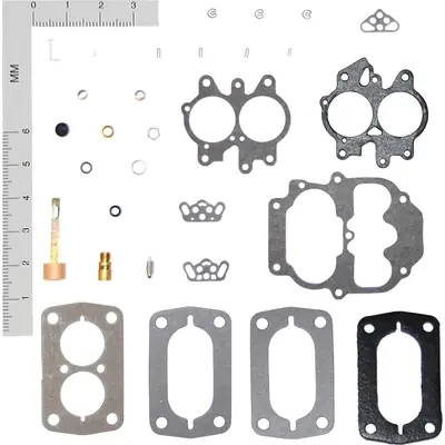 Carburetor Kit by WALKER PRODUCTS - 15284C Acheter Direct