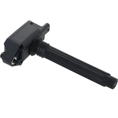Expédié Aujourd’hui HOLSTEIN - 2IGC0576 - Ignition Coil