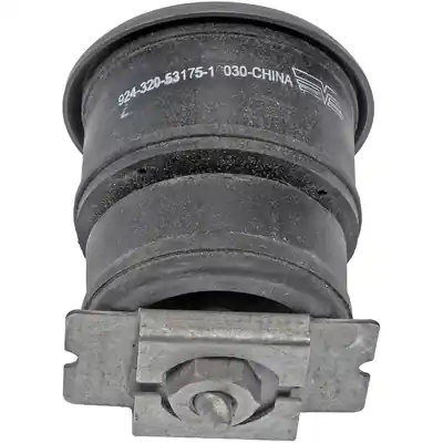 DORMAN - 924-320 - Body Mount Fait Main