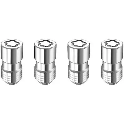 MCGARD - 24234 - Wheel Lug Nut Lock Or Kit Prix Choc