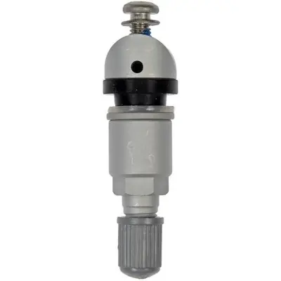 Meilleur Choix DORMAN (OE SOLUTIONS) - 974-300 - Tire Pressure Monitoring System Valve Kit