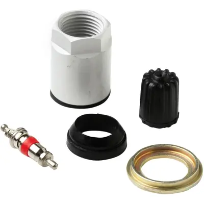 Dernière Chance 31 INCORPORATED - 17-20201AK - TPMS Service Kit