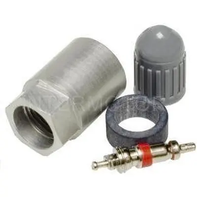 Tire Pressure Monitoring System Sensor Service Kit (Pack of 25) by BLUE STREAK (HYGRADE MOTOR) - TPM2010K Affaire À Saisir