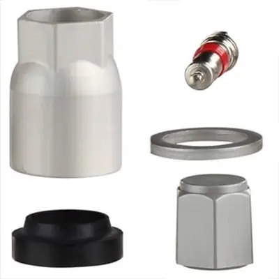 Tire Pressure Monitoring System Sensor Service Kit by DENSO - 999-0602 Usine Directe