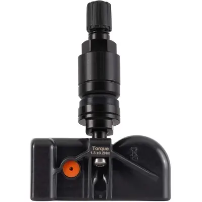 Vente Directe WALKER PRODUCTS - 222-1002 - TPMS Sensor