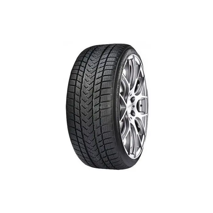 Gripmax Status Pro Winter 225/40R20 94V XL 3PMSF Pas Cher