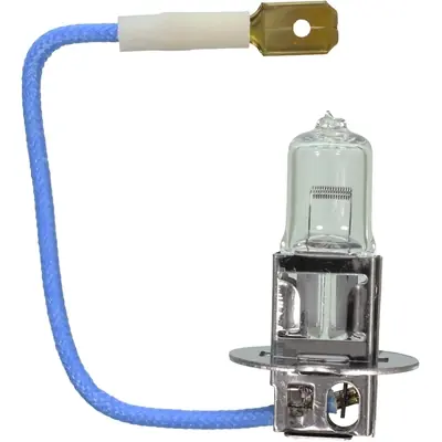 WAGNER - BP1210/H3 - Multi-Purpose Light Bulb Livraison Mondiale