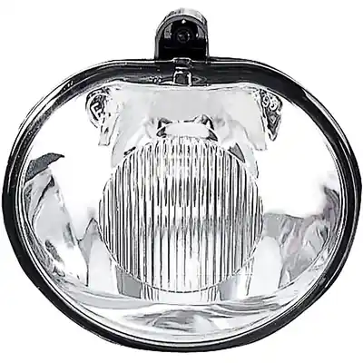 Gros Lot Passenger Side Fog Lamp Assembly by DEPO - 334-2009N-AS