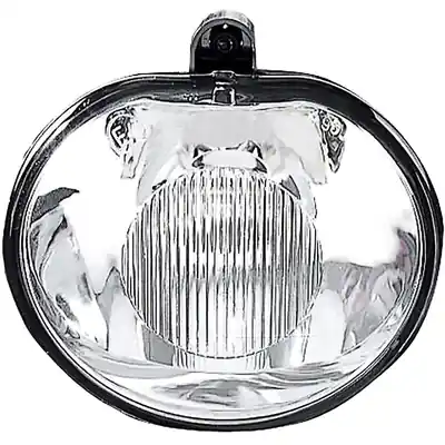 Expédition Rapide Driving And Fog Light by DEPO - 3342009NAS