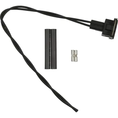 Nouvel Arrivage Fog Lamp Switch Connector by BLUE STREAK (HYGRADE MOTOR) - S2251