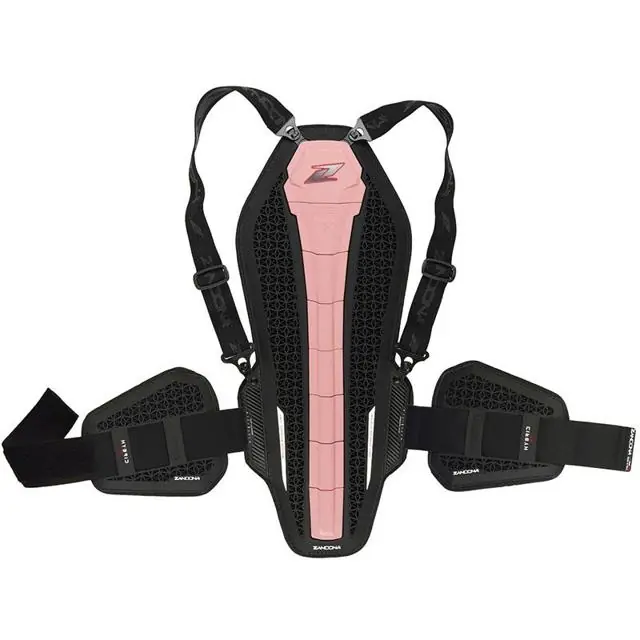 Commander Maintenant ZANDONA Dorsale HYBRID BACK PRO RS X8
